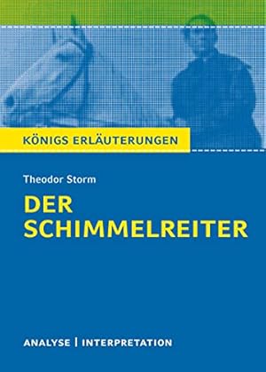 192: Textanalyse und Interpretation zu Theodor Storm, Der Schimmelreiter : alle erforderlichen In...