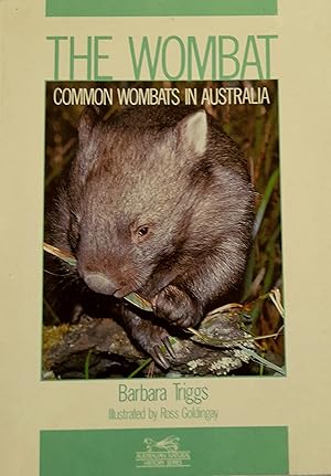 The Wombat: Common Wombats In Australia.