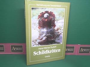Seller image for Schildkrten. Vermehrung von Terrarientieren. for sale by Antiquariat Deinbacher