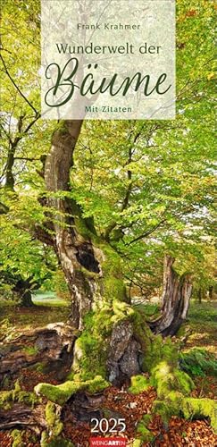 Bild des Verkufers fr Wunderwelt der Bume Kalender 2025 : Baum-Fotos durch alle Jahreszeiten in einem lnglichen Kalender im Format 33x68 cm. Jahres-Wandkalender mit Fotos von der Blte bis zum kahlen Winter. zum Verkauf von AHA-BUCH GmbH