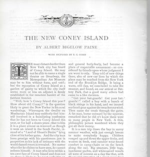 Immagine del venditore per The New Coney Island venduto da Legacy Books II