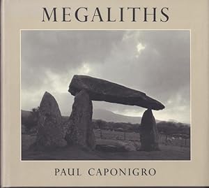 Immagine del venditore per Megaliths. venduto da Rnnells Antikvariat AB