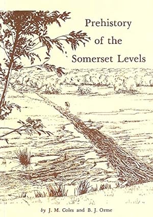 Bild des Verkufers fr Prehistory of the Somerset Levels zum Verkauf von WeBuyBooks