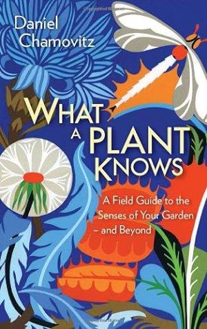 Imagen del vendedor de What a Plant Knows: A Field Guide to the Senses of Your Garden - and Beyond a la venta por WeBuyBooks
