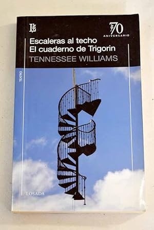 Escaleras al techo