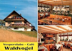 Immagine del venditore per Postkarte Carte Postale 33035401 Feldberg Schwarzwald Vesperstube Cafe Waldvogel Gastraeume Feldberg venduto da Versandhandel Boeger