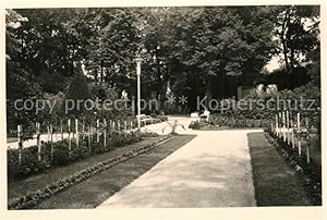 Postkarte Carte Postale 73359202 Greifenberg Pommern Rosengarten Greifenberg Pommern