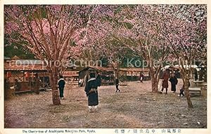 Postkarte Carte Postale 73342689 Kyoto Cherry tree of Arashiyama Nakajima Park Kyoto