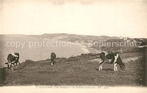 Postkarte Carte Postale 13553408 Guethary La Falaise et l'Ocean Guethary