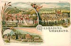 Postkarte Carte Postale 33708254 Wiesbaden Sonnenberg Waldhaeuschen Bruthaus Fischzucht Anstalt W...