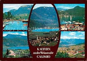 Postkarte Carte Postale 73631762 Kaltern Weinstrasse Tirol und Kalterer See Alpenpanorama Kaltern...