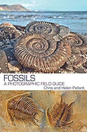 Seller image for Fossils: A Photographic Field Guide for sale by WeBuyBooks