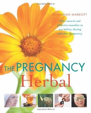 Bild des Verkufers fr The Pregnancy Herbal zum Verkauf von WeBuyBooks