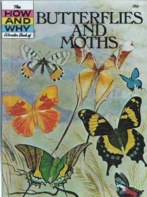 Bild des Verkufers fr Butterflies and Moths (How & Why S.) zum Verkauf von WeBuyBooks