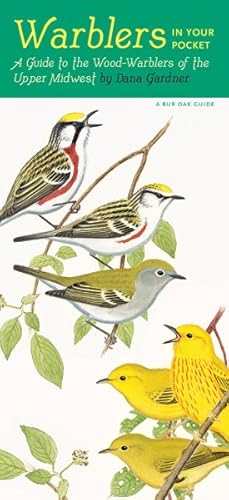 Seller image for Warblers in Your Pocket : A Guide to Wood-Warblers of the Upper Midwest for sale by GreatBookPrices