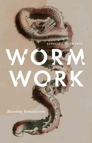 Immagine del venditore per Worm Work : Recasting Romanticism venduto da GreatBookPrices