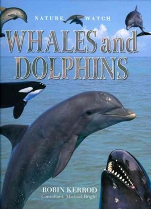 Seller image for Whales and Dolphins for sale by GreatBookPrices
