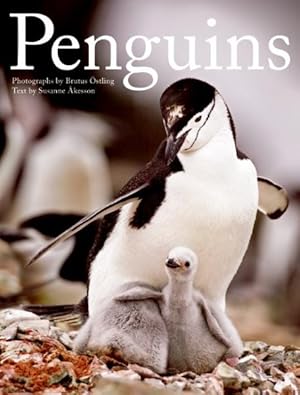 Seller image for Penguins for sale by GreatBookPrices