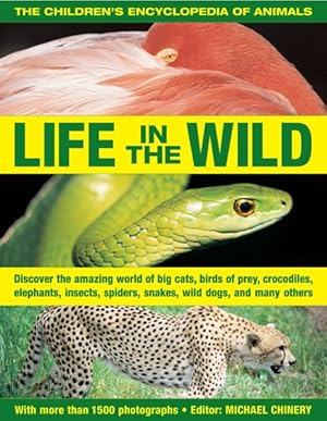 Seller image for Children's Encyclopedia of Animals Life in the Wild : Discover the Amazing World of Big Cats, Birds of Prey, Crocodiles, Elephants, Insects, Snakes, Spiders, Wild Dogs and Many Others for sale by GreatBookPricesUK