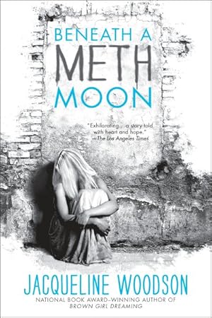 Bild des Verkufers fr Beneath a Meth Moon : An Elegy zum Verkauf von GreatBookPrices