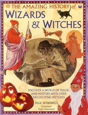Seller image for Amazing History of Wizards & Witches for sale by GreatBookPricesUK