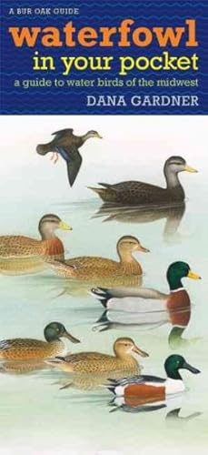 Seller image for Waterfowl in Your Pocket : A Guide to Water Birds of the Midwest for sale by GreatBookPrices