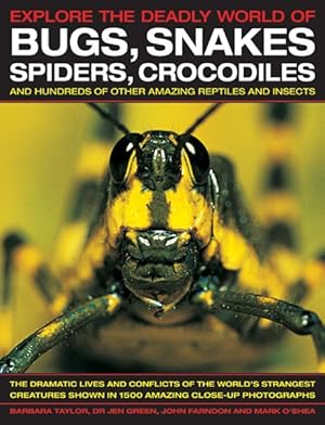 Bild des Verkufers fr Explore the Deadly World of Bugs, Snakes, Spiders, Crocodiles and Hundreds of Other Amazing Reptiles and Insects : The Dramatic Lives and Conflicts of the World's Strangest Creatures Shown in 1500 Amazing Close-up Photographs zum Verkauf von GreatBookPrices