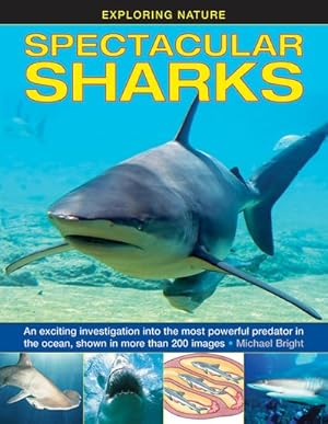 Immagine del venditore per Spectacular Sharks : An exciting investigation into the most powerful predator in the ocean, shown in more than 200 images venduto da GreatBookPrices