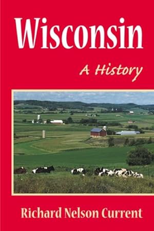 Seller image for Wisconsin : A History for sale by GreatBookPrices
