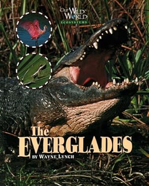 Seller image for Everglades for sale by GreatBookPrices