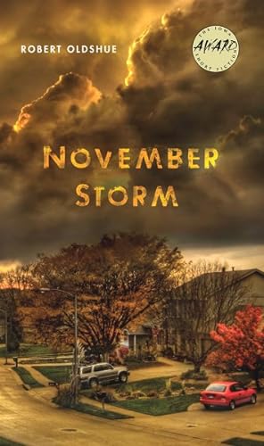 Seller image for November Storm for sale by GreatBookPricesUK