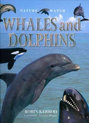 Seller image for Whales and Dolphins for sale by GreatBookPricesUK