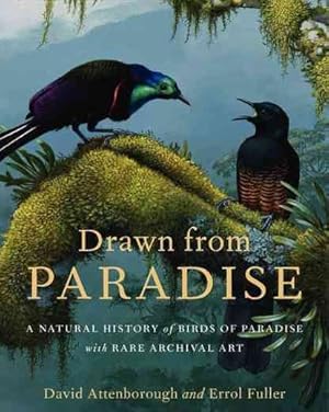 Immagine del venditore per Drawn From Paradise : The Natural History, Art and Discovery of the Birds of Paradise venduto da GreatBookPricesUK