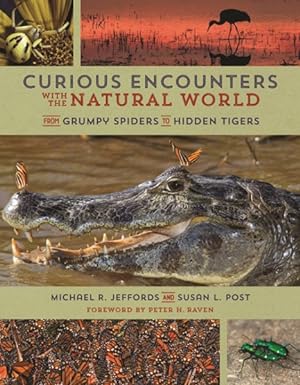 Seller image for Curious Encounters With the Natural World : From Grumpy Spiders to Hidden Tigers for sale by GreatBookPrices