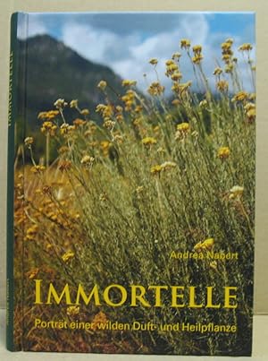 Immortelle. Porträt einer wilden Duft- und Heilpflanze.