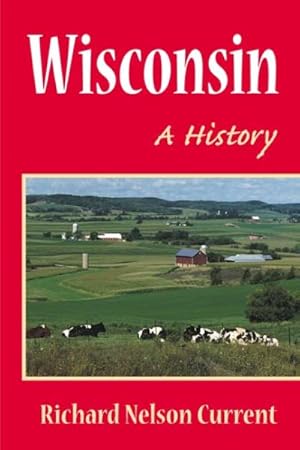 Seller image for Wisconsin : A History for sale by GreatBookPricesUK
