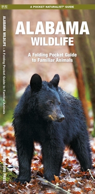 Seller image for Alabama Wildlife (Paperback or Softback) for sale by BargainBookStores