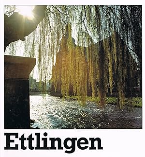 Seller image for Ettlingen: Gesichter einer Stadt for sale by Gabis Bcherlager