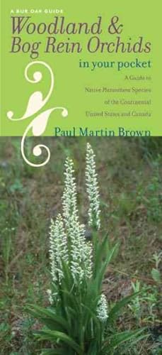 Seller image for Woodland & Bog Rein Orchids in Your Pocket : A Guide to Native Platanthera Species of the Continental United States and Canada for sale by GreatBookPrices
