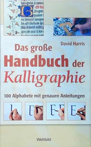 Das große Handbuch der Kalligraphie 100 Alphabete mit genauen Anleitungen