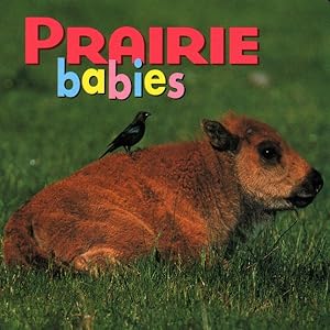 Bild des Verkufers fr Prairie Babies zum Verkauf von GreatBookPrices