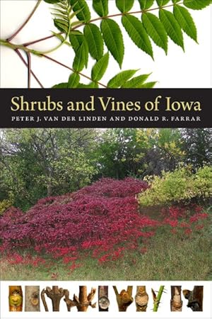 Imagen del vendedor de Shrubs and Vines of Iowa a la venta por GreatBookPrices