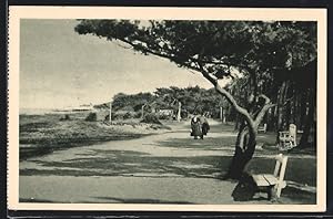 Ansichtskarte Brunshaupten /Ostsee, Westliche Strandpromenade