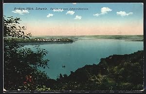 Ansichtskarte Buckow /Märk. Schweiz, Panorama vom Schermützelsee