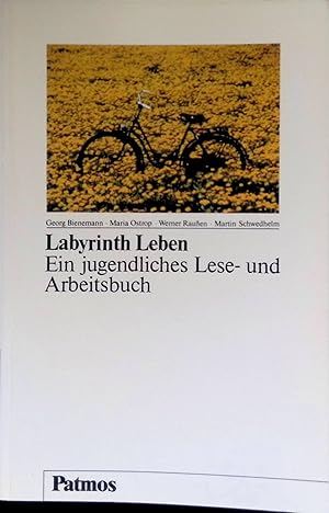 Bild des Verkufers fr Labyrinth Leben : Ein jugendliches Lese- und Arbeitsbuch. zum Verkauf von books4less (Versandantiquariat Petra Gros GmbH & Co. KG)