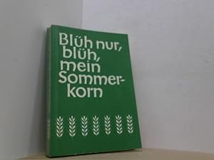 Blüh nur, blüh, mein Sommerkorn.