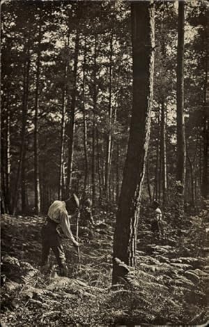 Ansichtskarte / Postkarte Deutsche Soldaten im Wald