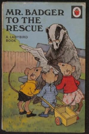 Seller image for Mr. Badger to the Rescue (Rhyming Stories) for sale by WeBuyBooks