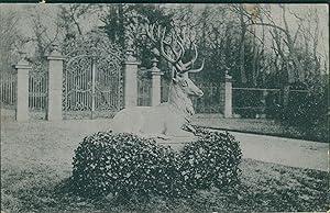 Ansichtskarte (a67 ) Baden-Württemberg Karlsruhe um 1900 Partie im Schloßgarten Hirsch (III)