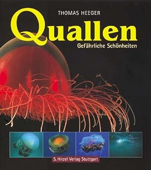 Imagen del vendedor de Quallen - Gefhrliche Schnheiten: Sonderausgabe a la venta por Studibuch